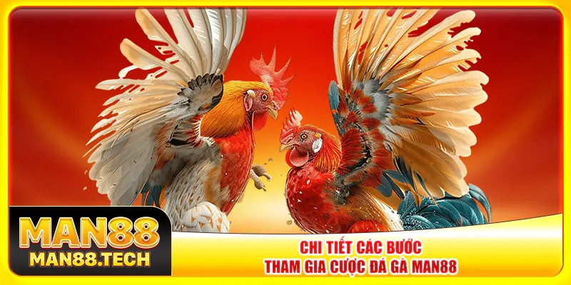 Chi tiết các bước tham gia cược đá gà Man88 Chi tiết các bước tham gia cược đá gà Man88