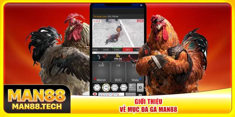 Giới thiệu về mục đá gà Man88 Giới thiệu về mục đá gà Man88